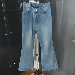 Stylish Blue Flared Jeans